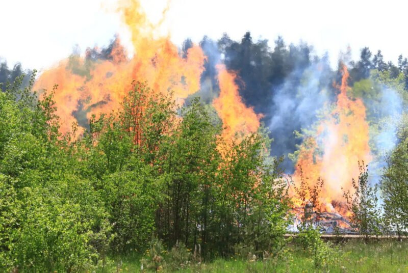 Fraser Valley Land Management